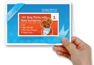 Gift a Course to a Friend!