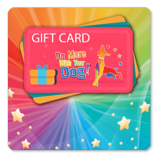 Gift Card Voucher