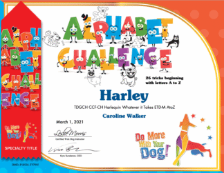 Alphabet Certificate & Ribbon