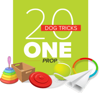 20 Dog Tricks: One Prop
