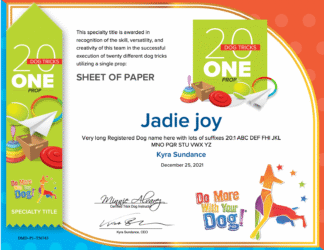 20:1 Hardcopy Certificate & Ribbon