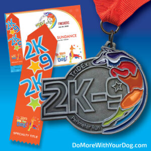 2K9-31