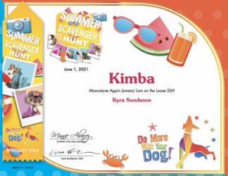 Summer Scavenger Hunt Certificate & Ribbon