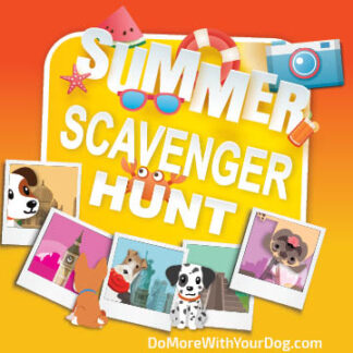Summer Scavenger Hunt