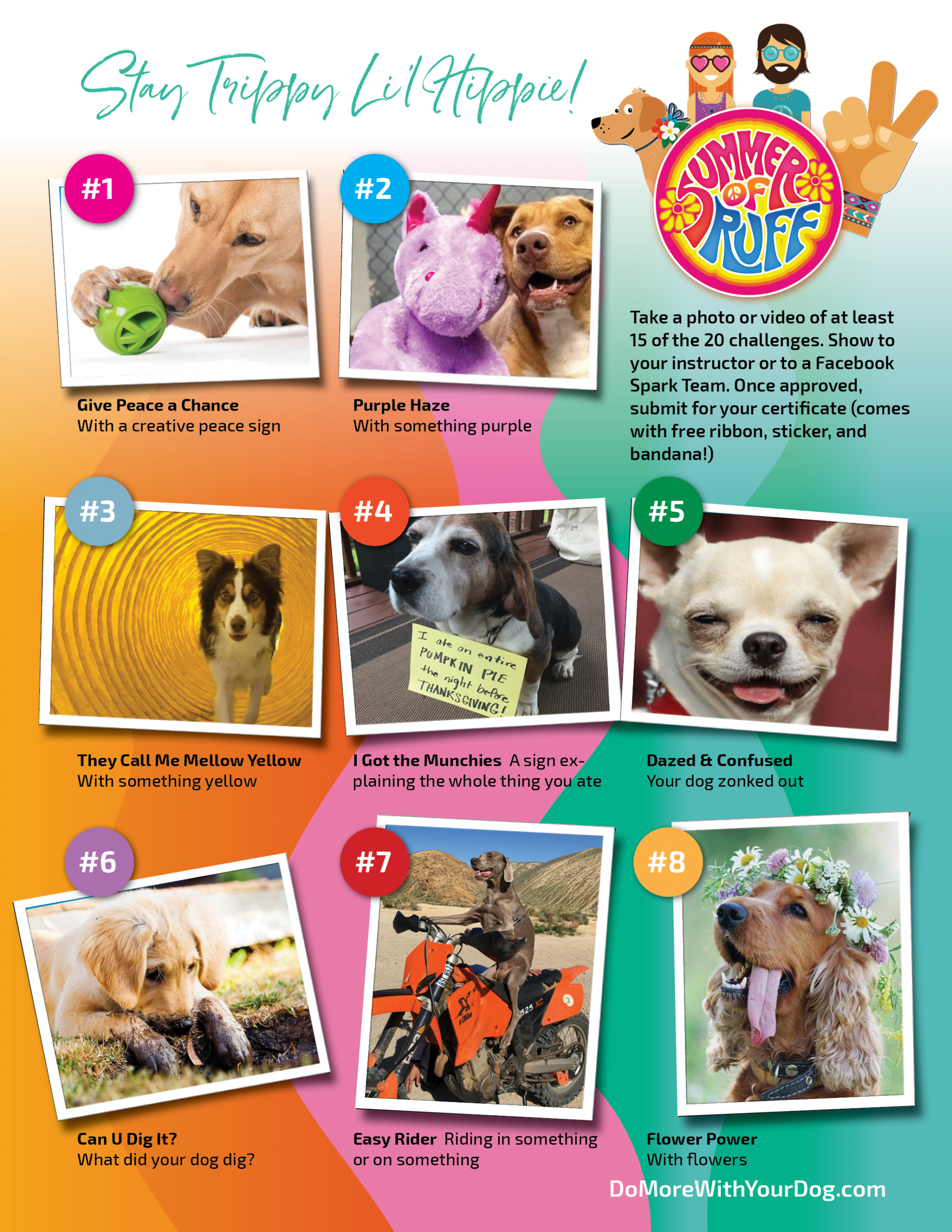 Summer of Ruff 2025 - Image 25