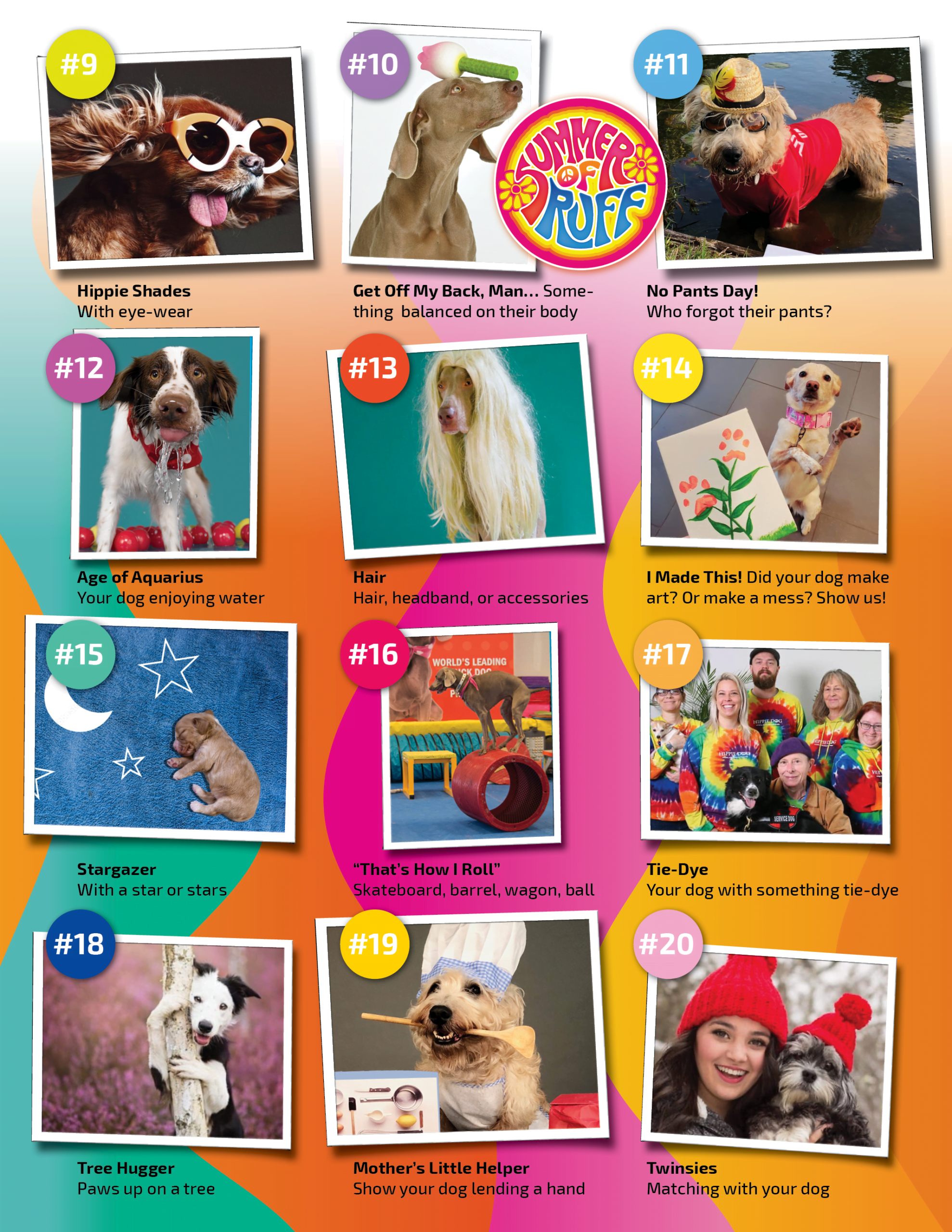 Summer of Ruff 2025 - Image 26