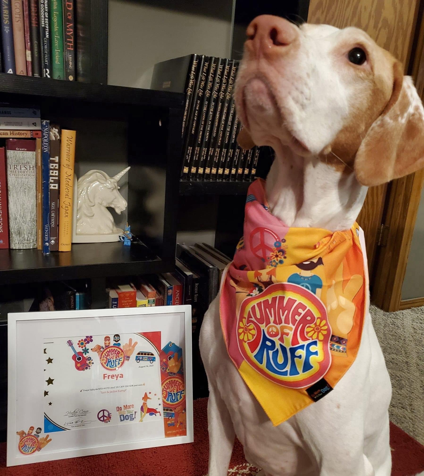 Summer of Ruff 2025 - Image 30