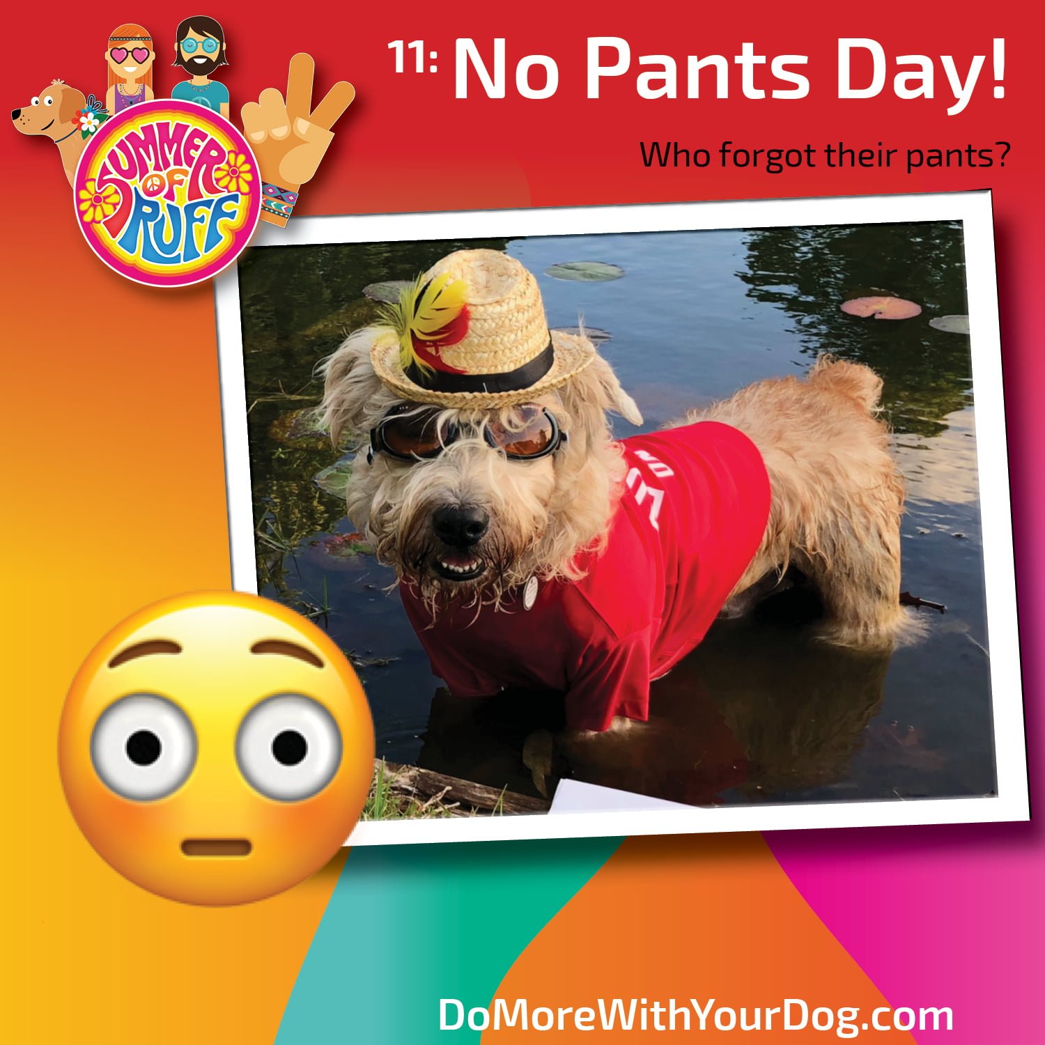 Summer of Ruff 2025 - Image 14