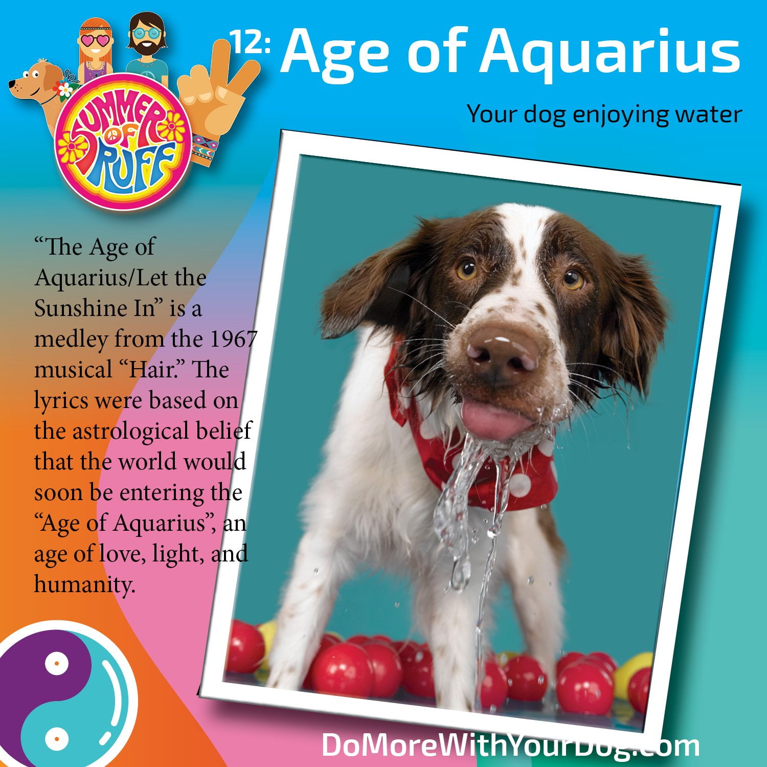 Summer of Ruff 2025 - Image 15