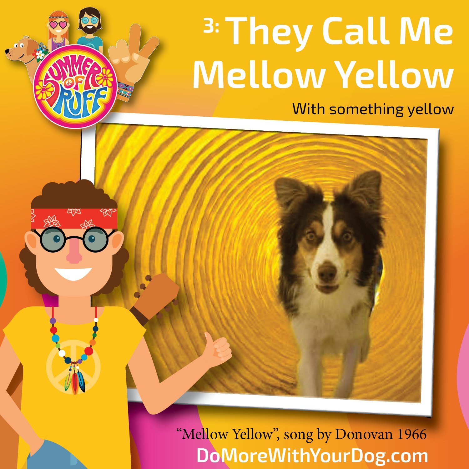 Summer of Ruff 2025 - Image 6