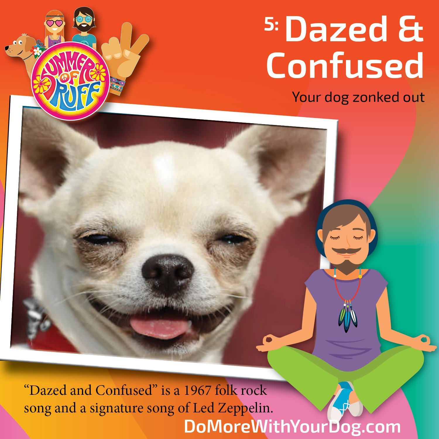 Summer of Ruff 2025 - Image 8