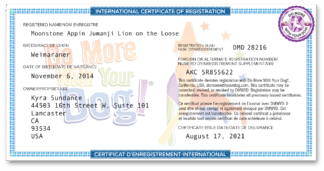 Request Title or Registration PDF (Free)