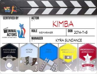 🎬Animal Actor Certification
