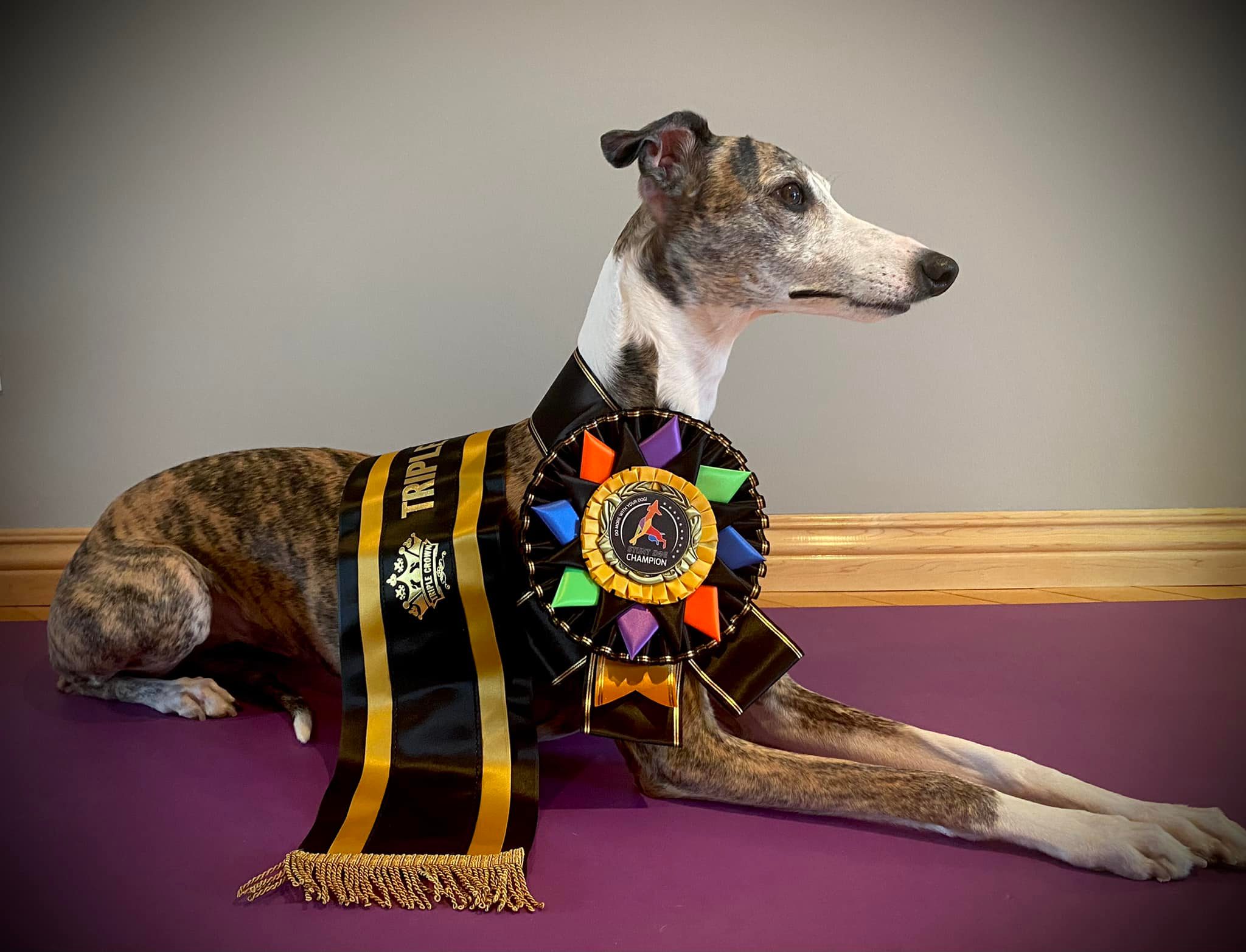 Triple Crown Title - Image 4