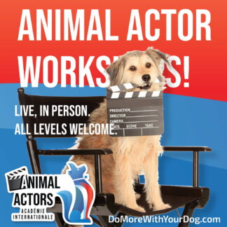Animal Actors Workshop