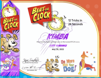 Beat the Clock Hardcopy Certificate & Ribbon