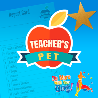 Teacher’s Pet 2026