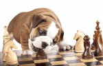 Tricktionary-chess-150x96.png