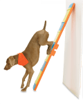Tricktionary-handstand-120x150.png