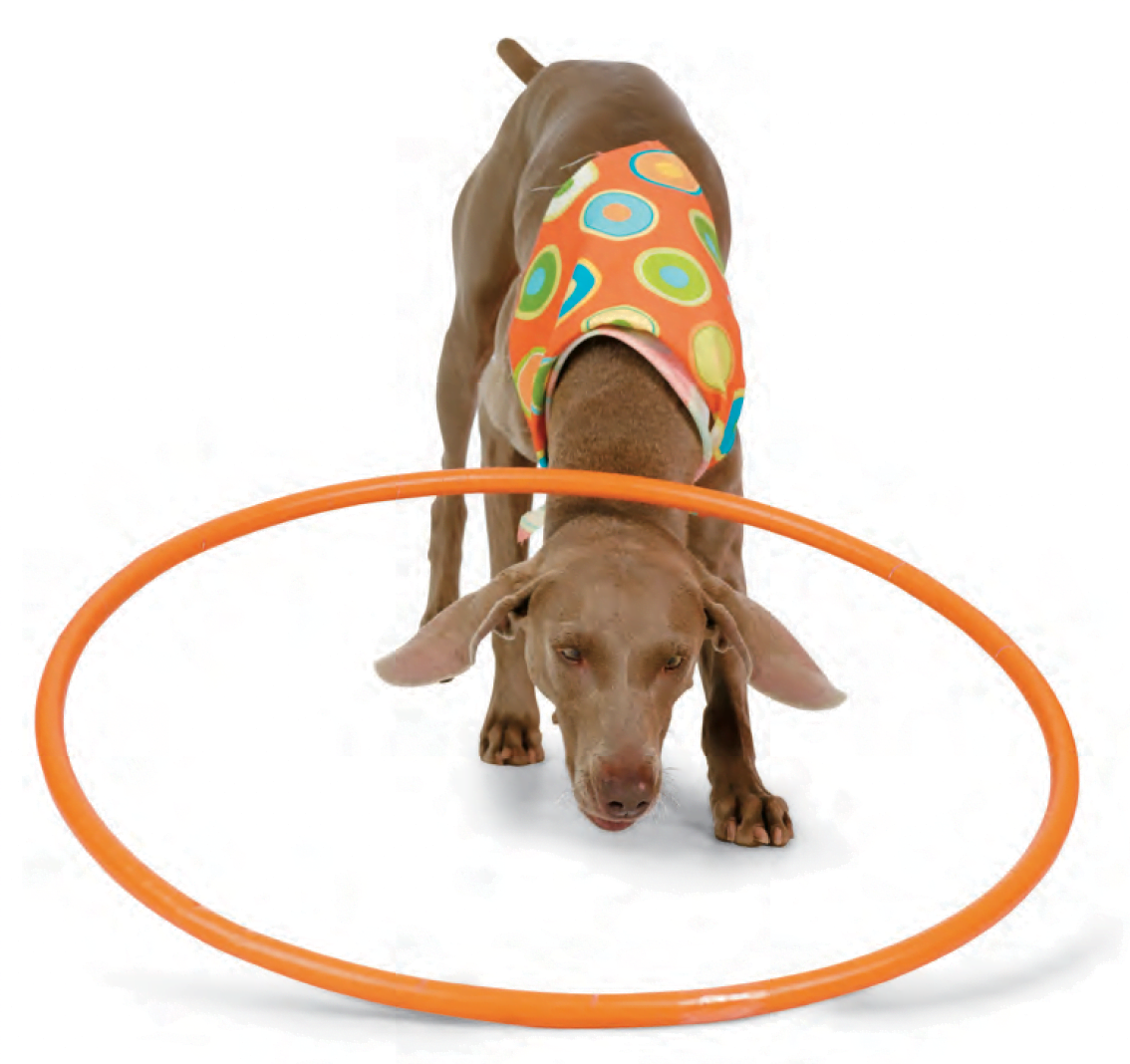 Hoops Title (Pentathlon Series) - Image 14