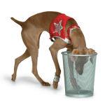 Tricktionary-litterinwastebasket-150x150.png