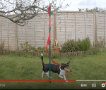 Tricktionary-maypole-150x128.png