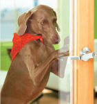 Tricktionary-opendoorhandle-141x150.png