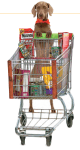 Tricktionary-pushshoppingcart-80x150.png