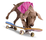 Tricktionary-skateboard2-150x132.png
