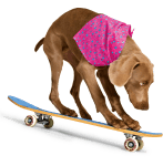Tricktionary-skateboard4-147x150.png
