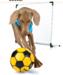 Tricktionary-soccer-127x150.png