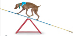 Tricktionary-teetertotter-150x74.png