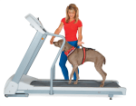 Tricktionary-treadmill-150x117.png
