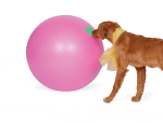 Tricktionary-treibball-150x114.png