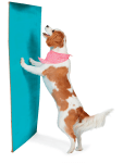 Tricktionary-wallstand-113x150.png