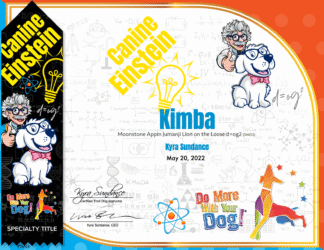 Canine Einstein Certificate & Ribbon