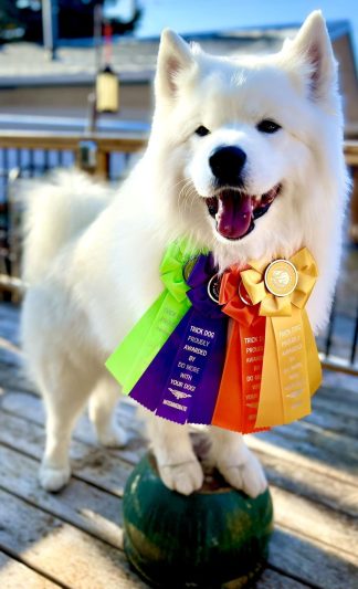 Rosettes: Buy 3 Get 1 Free