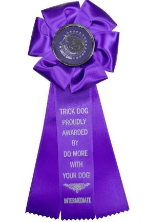 Intermediate Trick Dog (ITD) Rosette