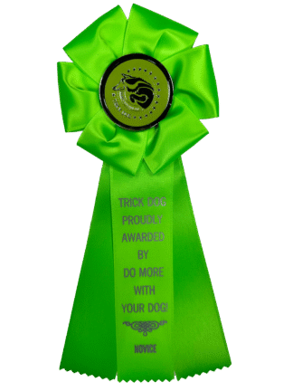 Novice Trick Dog (NTD) Rosette