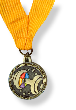 CCF1 Medal