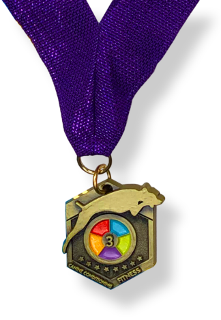 CCF3 Medal