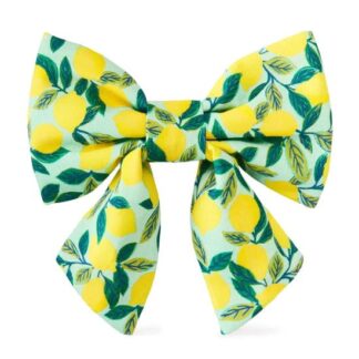 Lemon Bow/The Foggy Dog