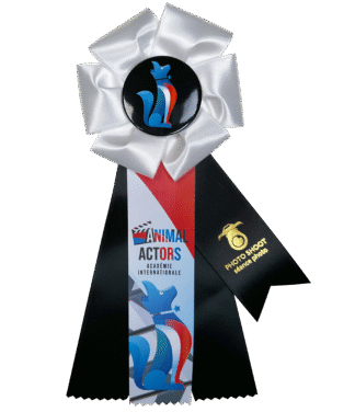 Animal Actor Level 1 Rosette