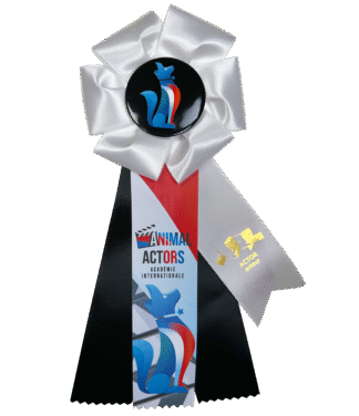 Animal Actor Level 2 Rosette