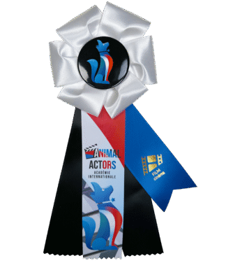 Animal Actor Level 3 Rosette