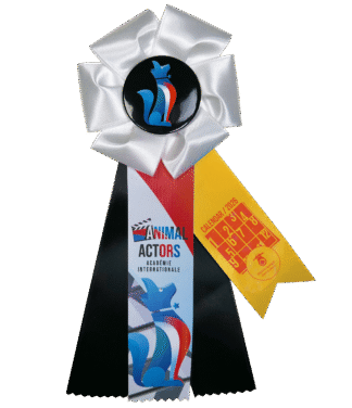 Calendar Shoot Rosette