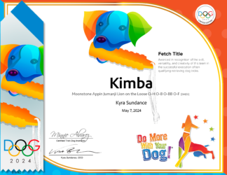 Fetch Hardcopy Certificate & Ribbon