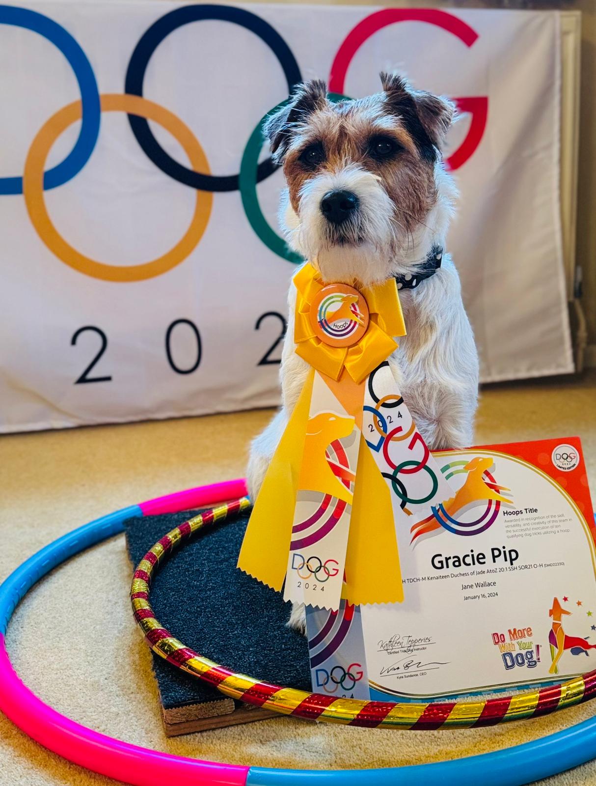 Hoops Title (Pentathlon Series) - Image 2