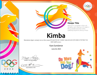 Hoops Hardcopy Certificate & Ribbon