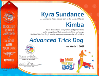 ATD Certificate & Ribbon